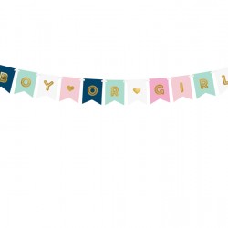 Μπάνερ Gender Reveal  Boy or Girl