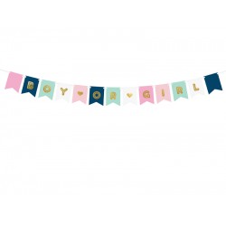 Μπάνερ Gender Reveal  Boy or Girl