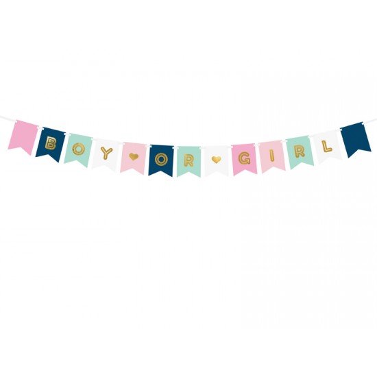 Μπάνερ Gender Reveal  Boy or Girl